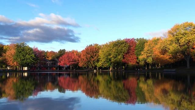 Расслабляющая музыка для осеннего настроения _ Осенний Релакс _ Relax ambient music for autumn mood