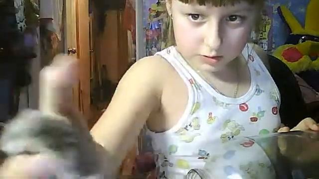 МОИ ХОМЯЧКИ !!