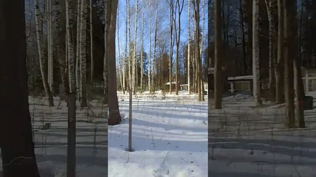 VID-20250316-WA0071