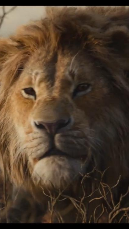 Король Лев ... Симба начало ...