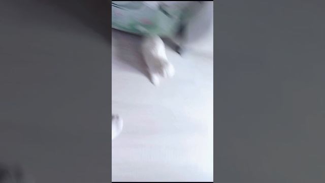 VID-20250316-WA0005.mp4