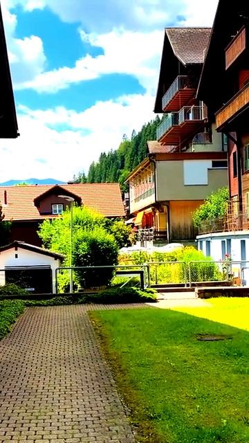 Моменты, захваченные камерой
