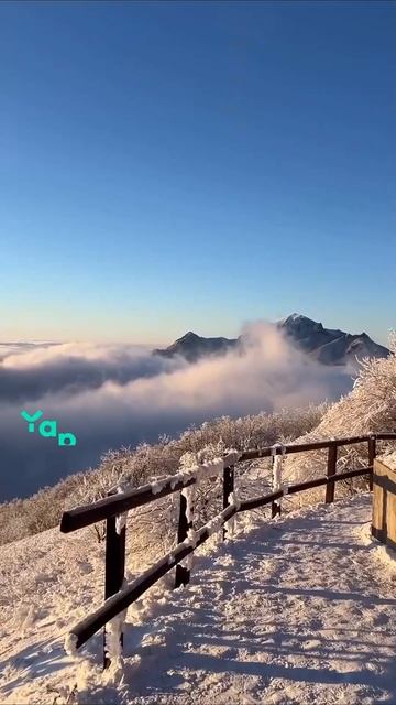 взаимно