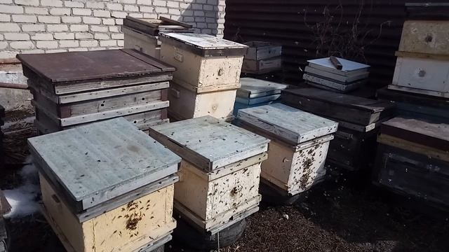 16.03.2025 г. Мы полетели!
