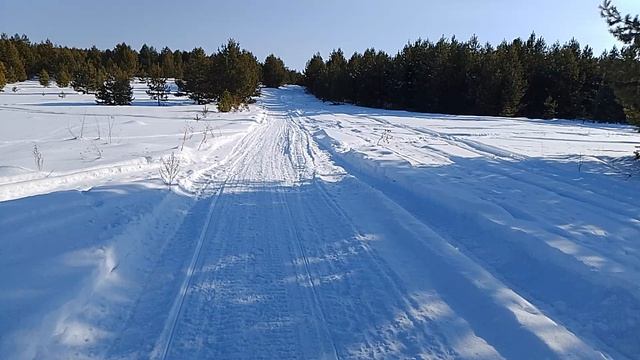 Лыжи, солнце и мороз!