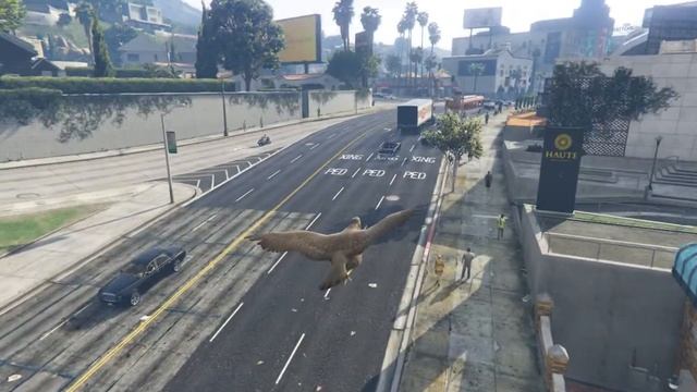 GTA V Лофофоры #7 Игра за животных