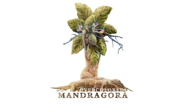 OVERCOLORED - MANDRAGORA