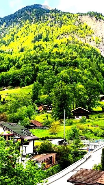 Камера покажет правду