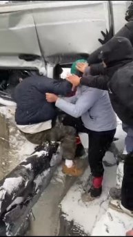 Висит на волоске от смерти😳
👍 - повезло выжить