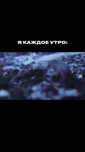 #мотивация #мотивациядня #мемчики #развитие #тренды #trend #окружение