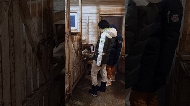 Козье царство