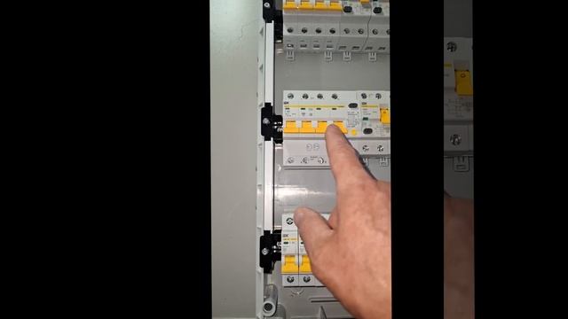 1000019132.mp4 (Собака смотрит на электроснабжение дома А-фрейм)