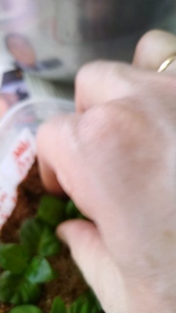 VID_20250214_114657.mp4