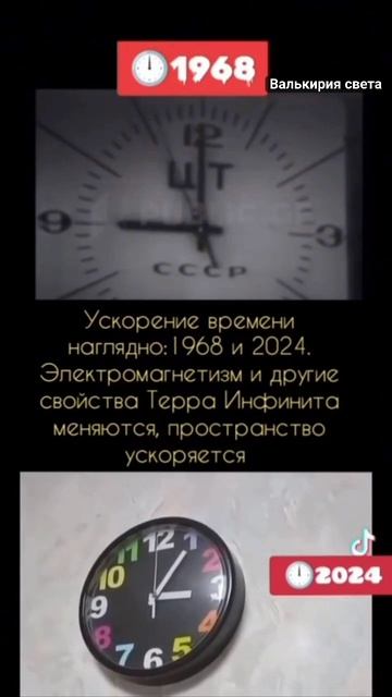 VID_20241223_010336_540.mp4