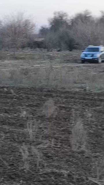 первый выход