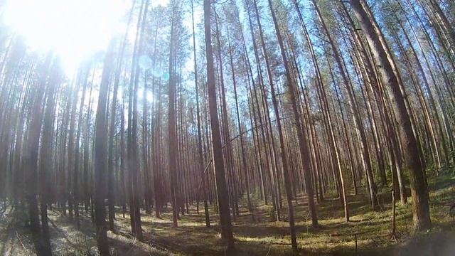 страйкбол воскреска 29 04 18