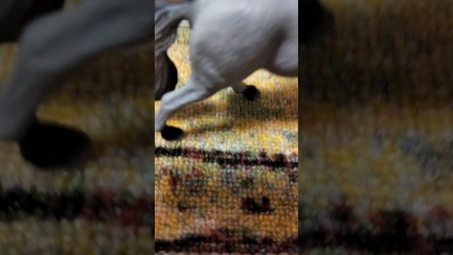Новости или разговорное видео.