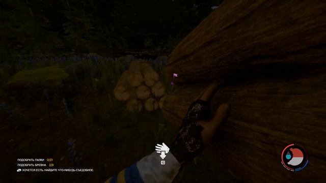 The forest 2 часть + Axile