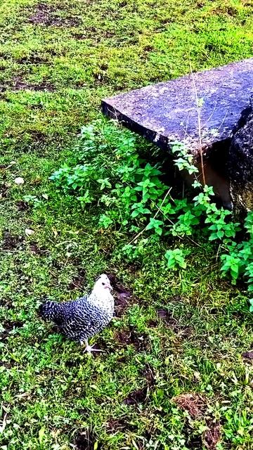 Камера не врёт