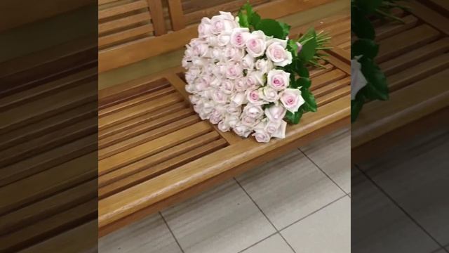 Букет из 51 нежно-розовой розы Свит Ревиваль 50 см под ленту "Море розового"
