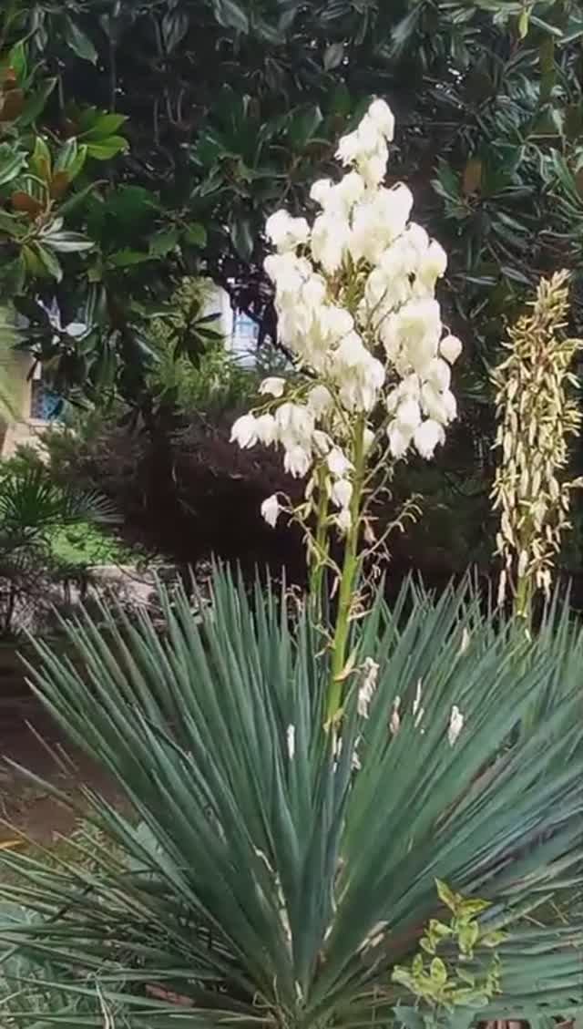 Счастье живет рядом с нами