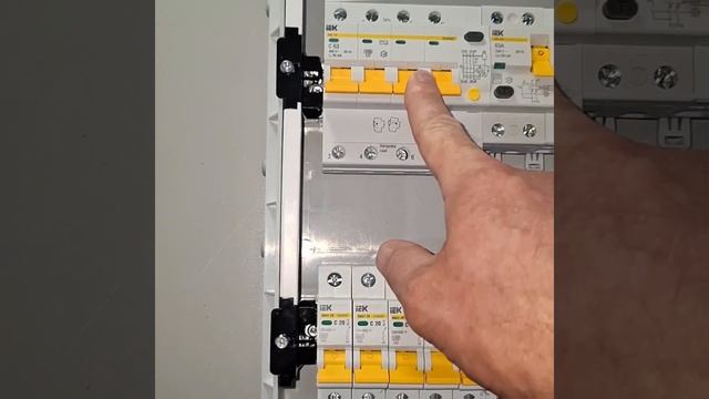1000019104.mp4 (Собака смотрит на электроснабжение дома А-фрейм)