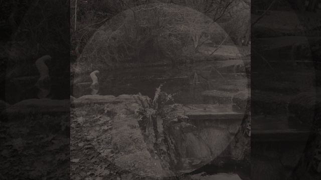 Kontinum - Decadent Society