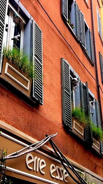 Кадры, которые шокируют