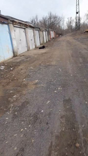 1000039954.mp416.03.2025г.
