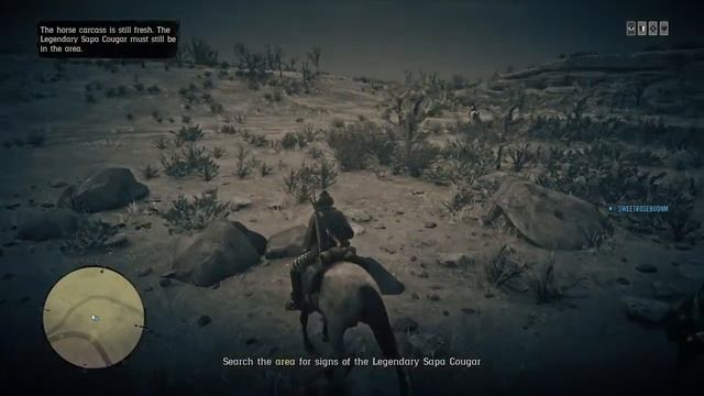 Red Dead Redemption 2 Online Legendary Sapa Cougar