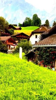 Камера все видит