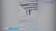 В Уфе заметили детей, идущих по практически растаявшему льду