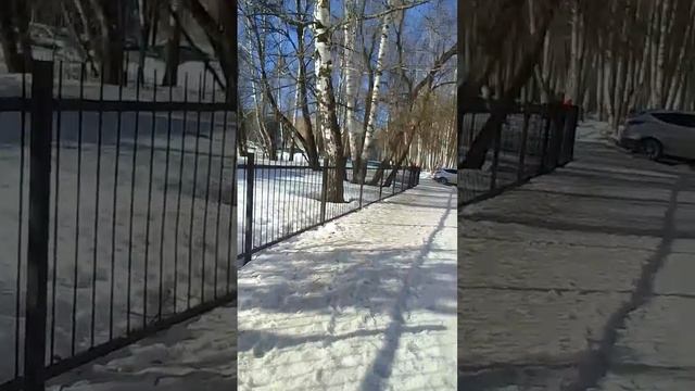 VID-20250316-WA0047