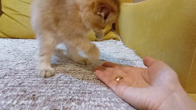 1000024475.mp4