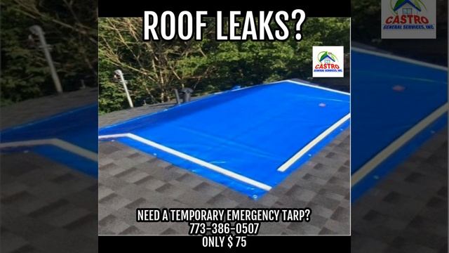 Roof Leaks?