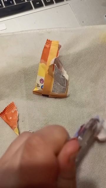 приключение в Магните
