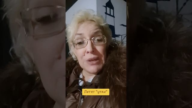 Летят  "утки "
