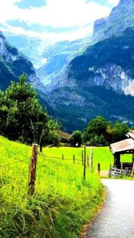 Камера поймала реальность