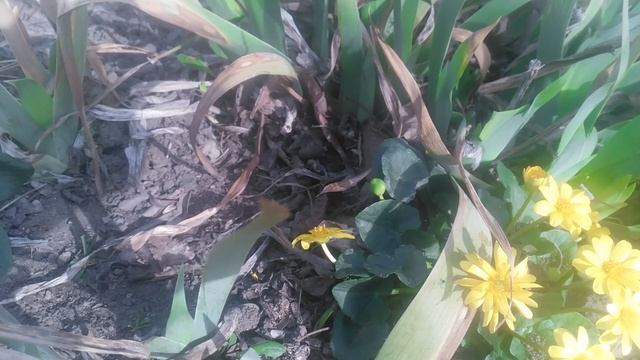 VID_20250315_153953