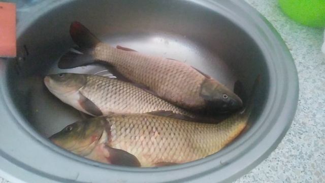 VID_20250314_084136