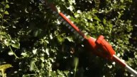 Mountfield Freedom48 48 Volt Lithium-Ion Cordless Range