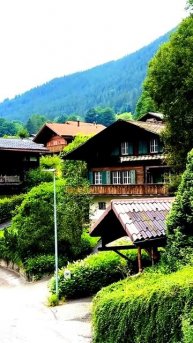 Камера запечатлела неожиданный момент