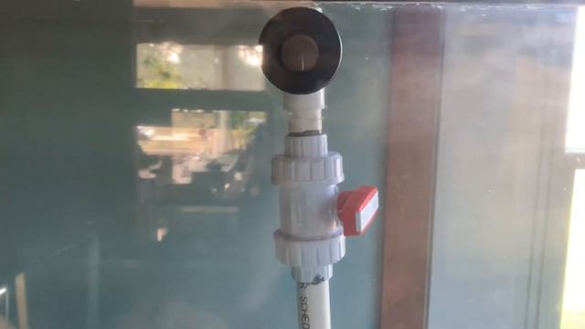 New 60 gallon tank in clownfish storm growout system