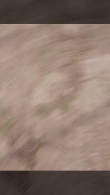 что у нас под моим домом