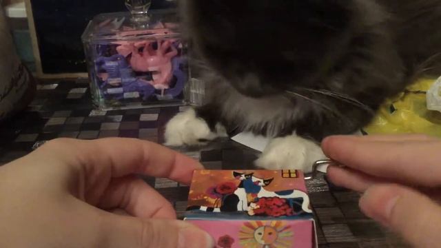 Котик и музыкальная шкатулка