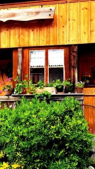 Камера видит всё