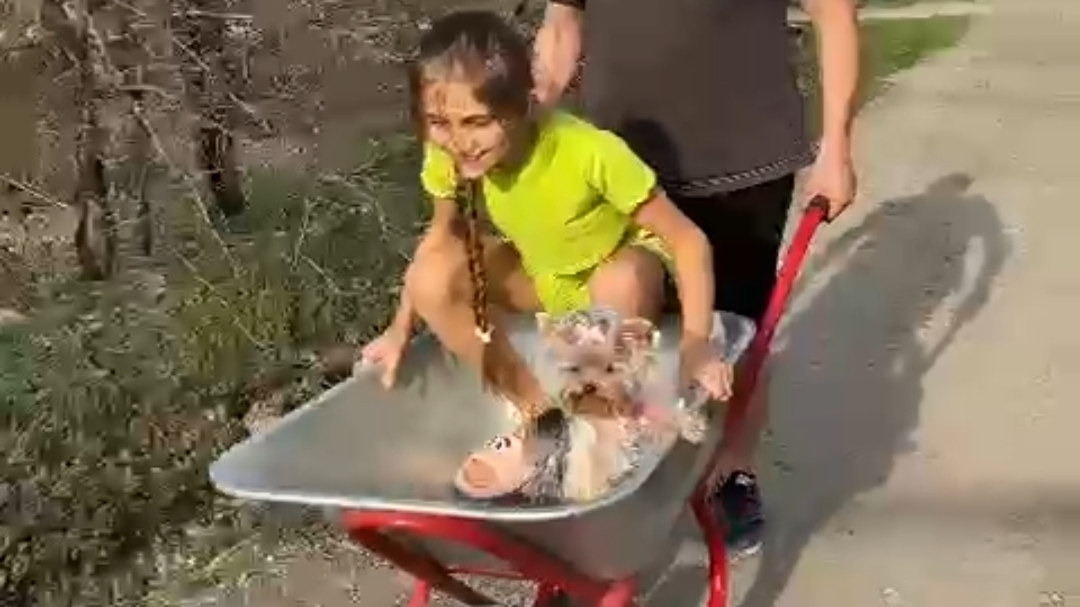 катаюсь на тележке