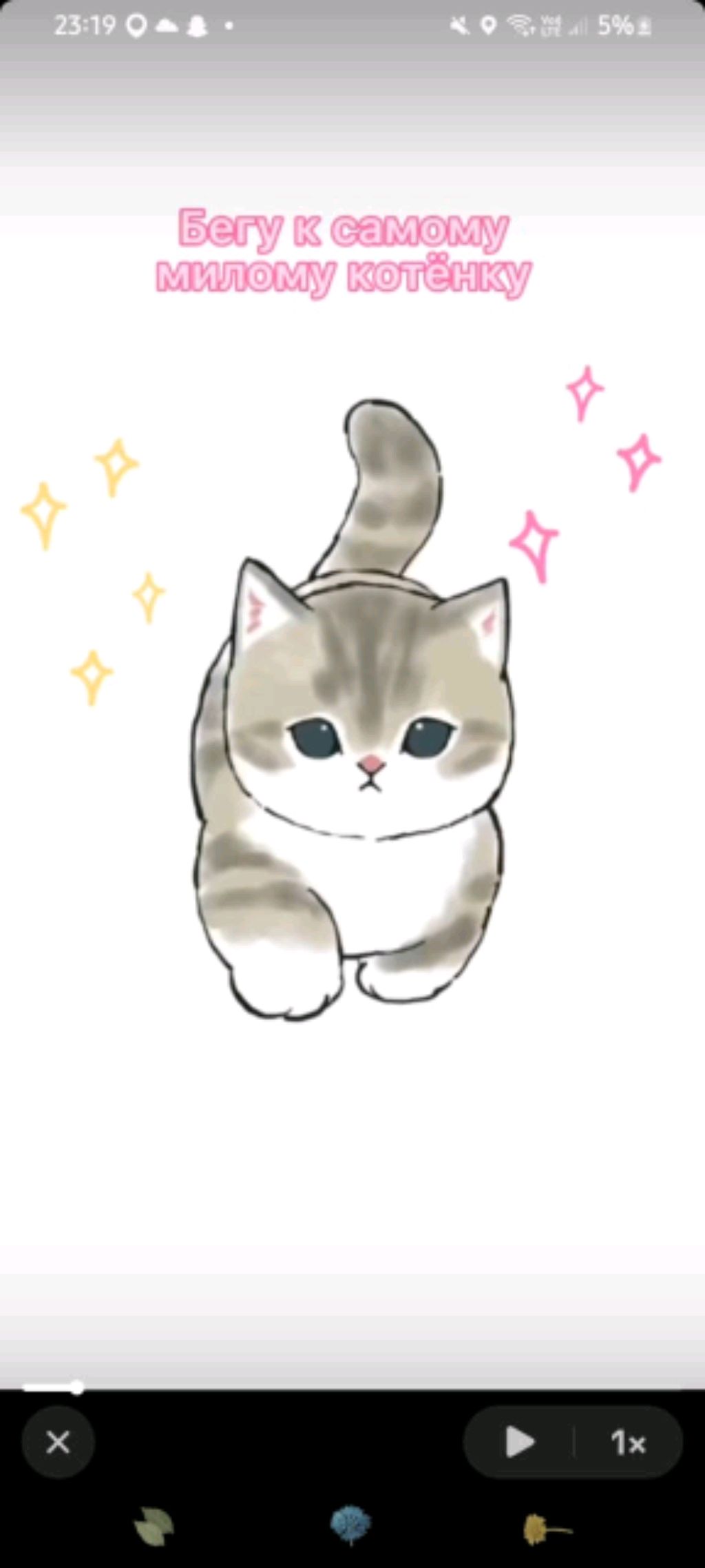 уточки💖♥️🥰