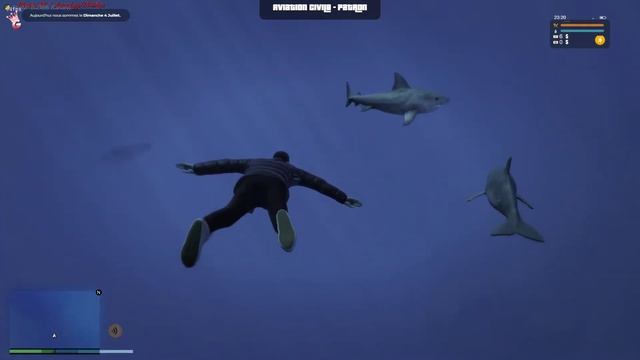 Aquatic Fauna for FiveM