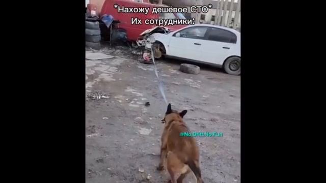 Смешные видео про авто! #3